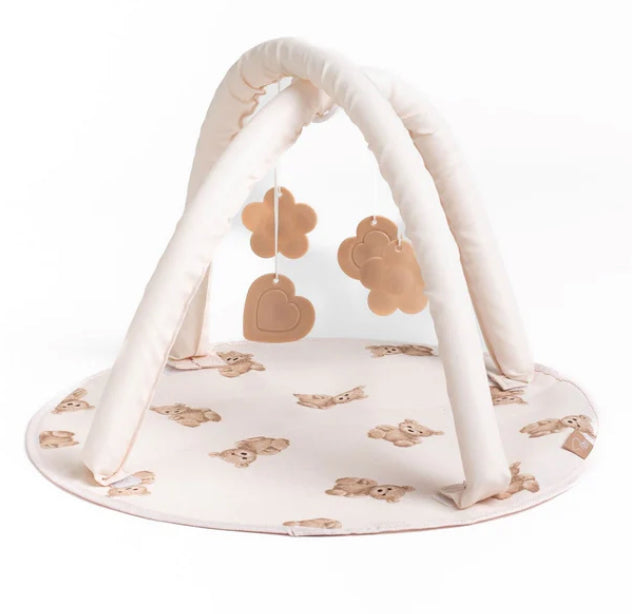 Teddy Bear Collection Bundle 10 Piece V12342800R