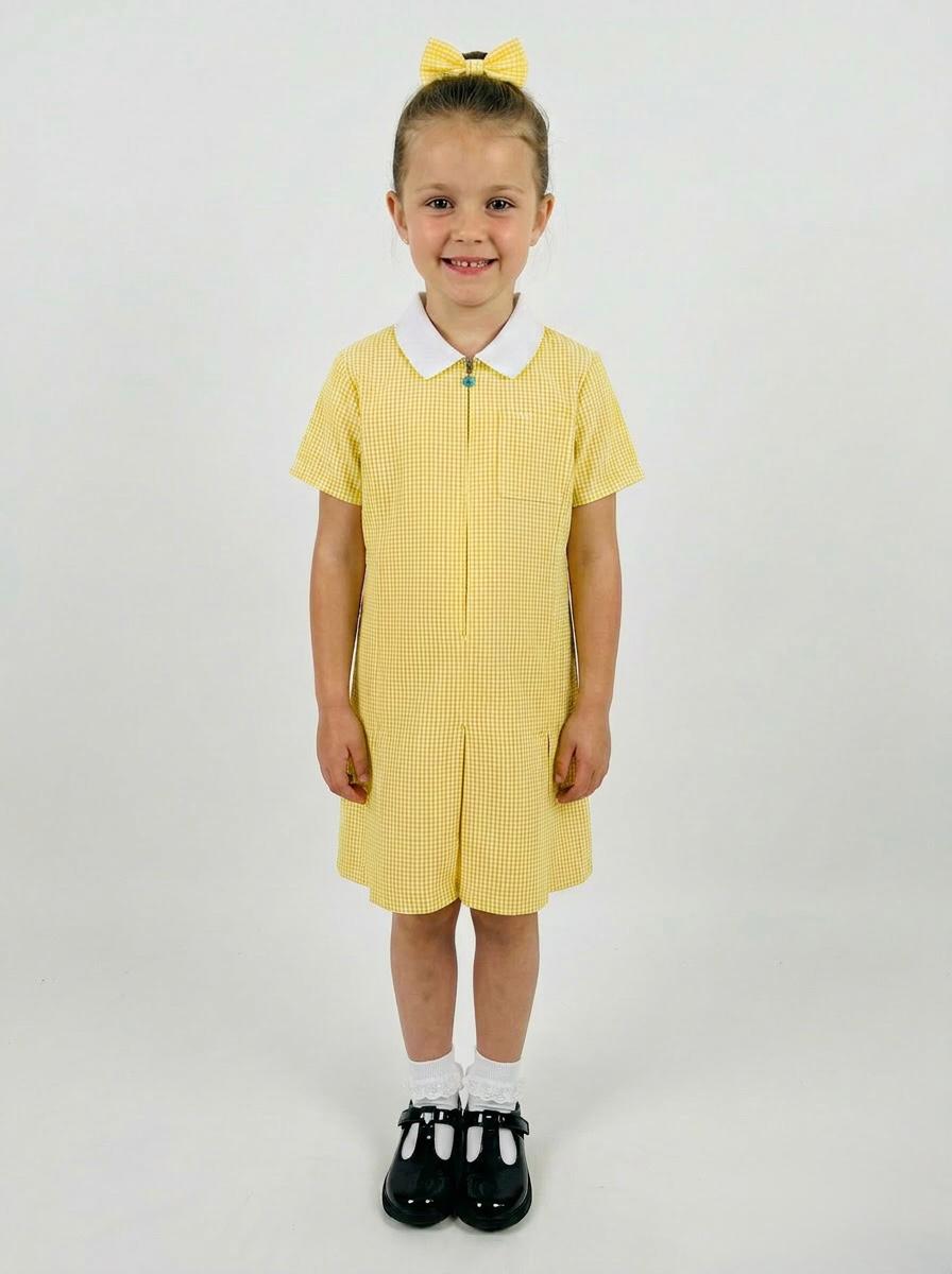 Gingham Dress 2/3-13yrs NV12348050Z