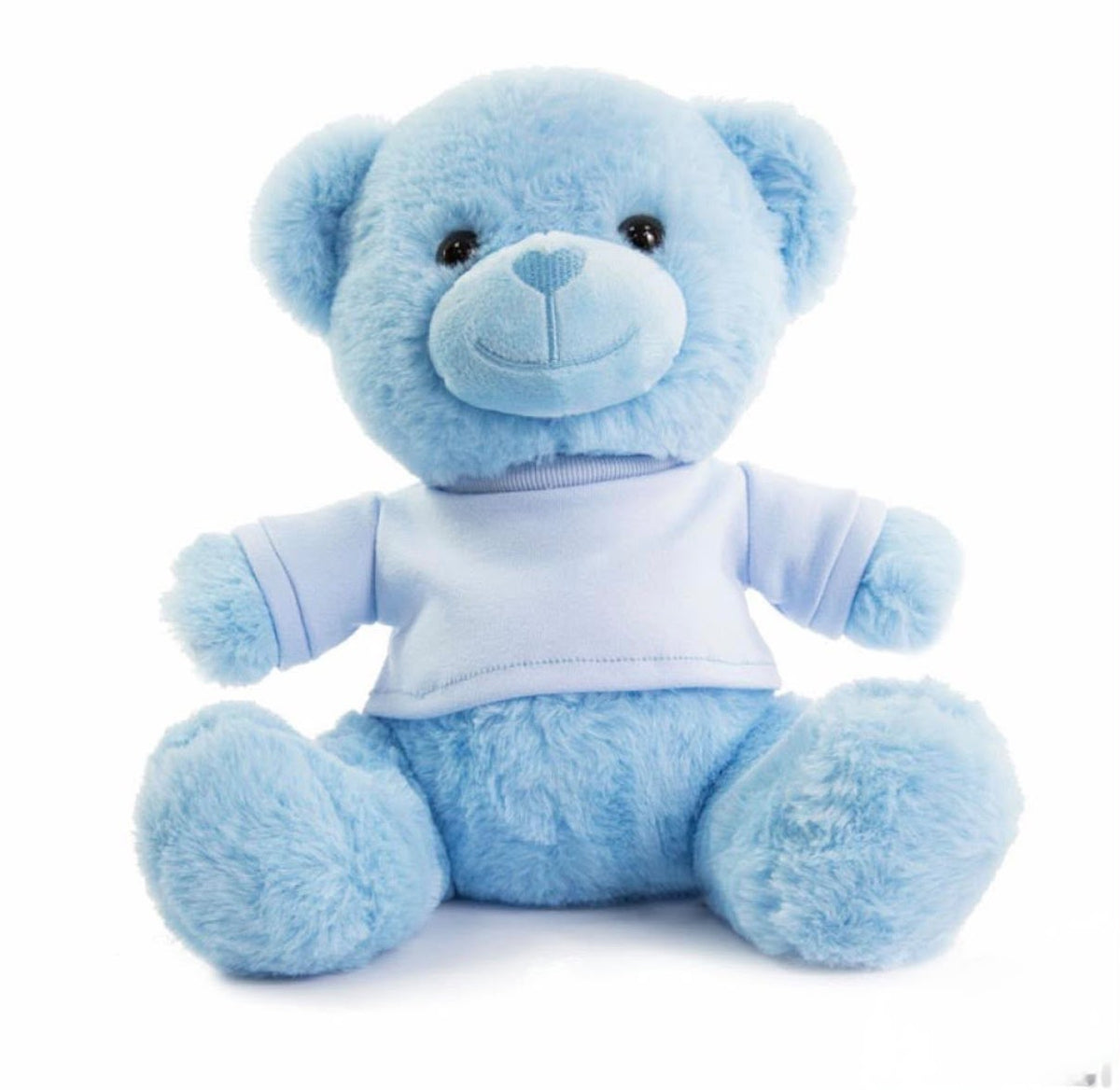 Large Teddy Bear Blue